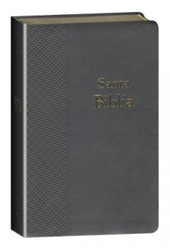 Biblia Reina Valera 1960 Letra Grande, filo dorado, tapa imitaci�n de cuero