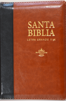 Biblia compacta letra gigante con cierre e �ndice marr�n de Sociedades B�blicas Unidas