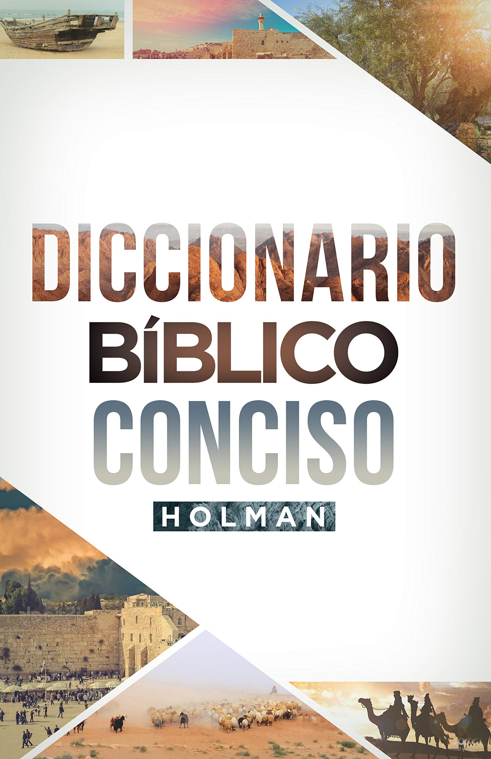 Diccionario B�blico Conciso Holman de Broadman & Holman