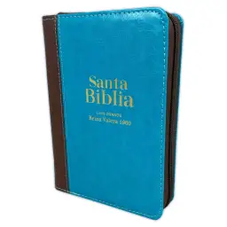 Biblia RV1960 tamaño portátil letra grande con cierre turquesa café