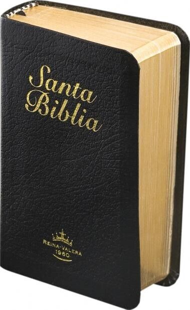 Biblia Reina Valera 1960 de bolsillo negro filo dorado